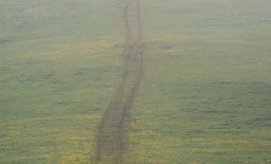 Fell & Tarn